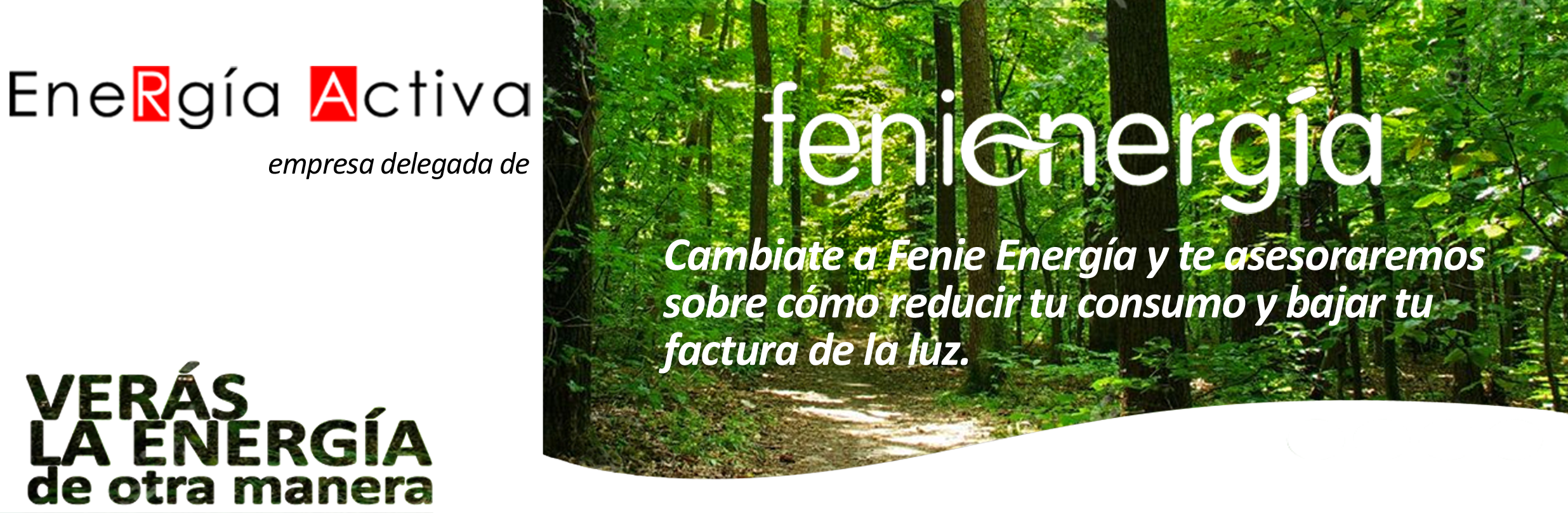 fenie energia